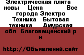 Электрическая плита,  новы  › Цена ­ 4 000 - Все города Электро-Техника » Бытовая техника   . Амурская обл.,Благовещенский р-н